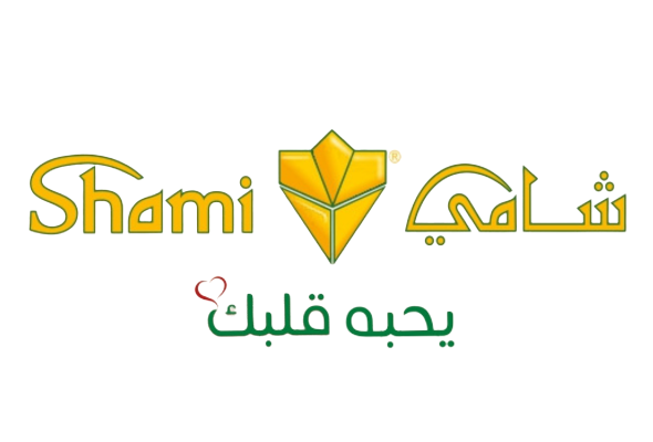 ساندوتش فلافل